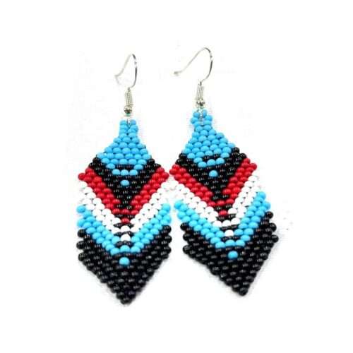 Pair of Feather Earrings