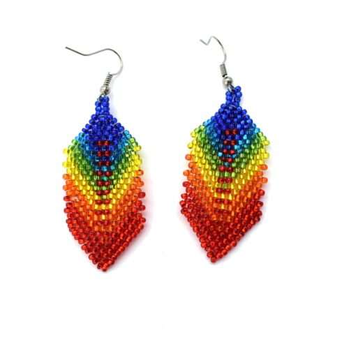 Pair of Feather Earrings