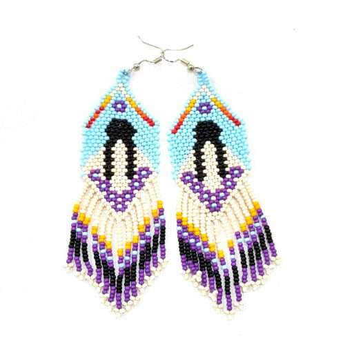 Pair Native Back with Fringe Earring